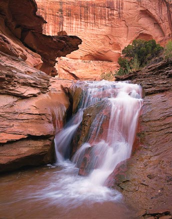 Hiking up Coyote Gulch